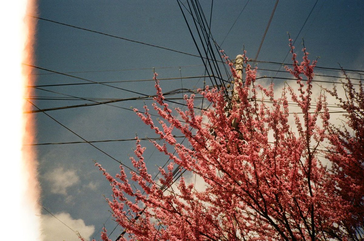 Ереван — столица Армении и главный бизнес-центр страны