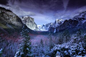 Photo Nature-inspired souvenirs